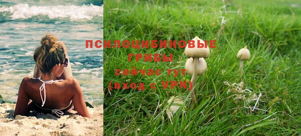 молекула духа Алзамай