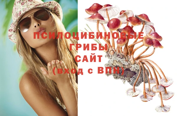 PSILOCYBIN Алексеевка